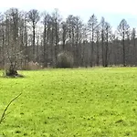 Kompleks Domkow Na Mazurach Dla Grupy 18 Osobowej * Sedansk