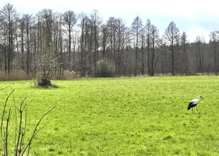 Kompleks Domkow Na Mazurach Dla Grupy 18 Osobowej * Sedansk